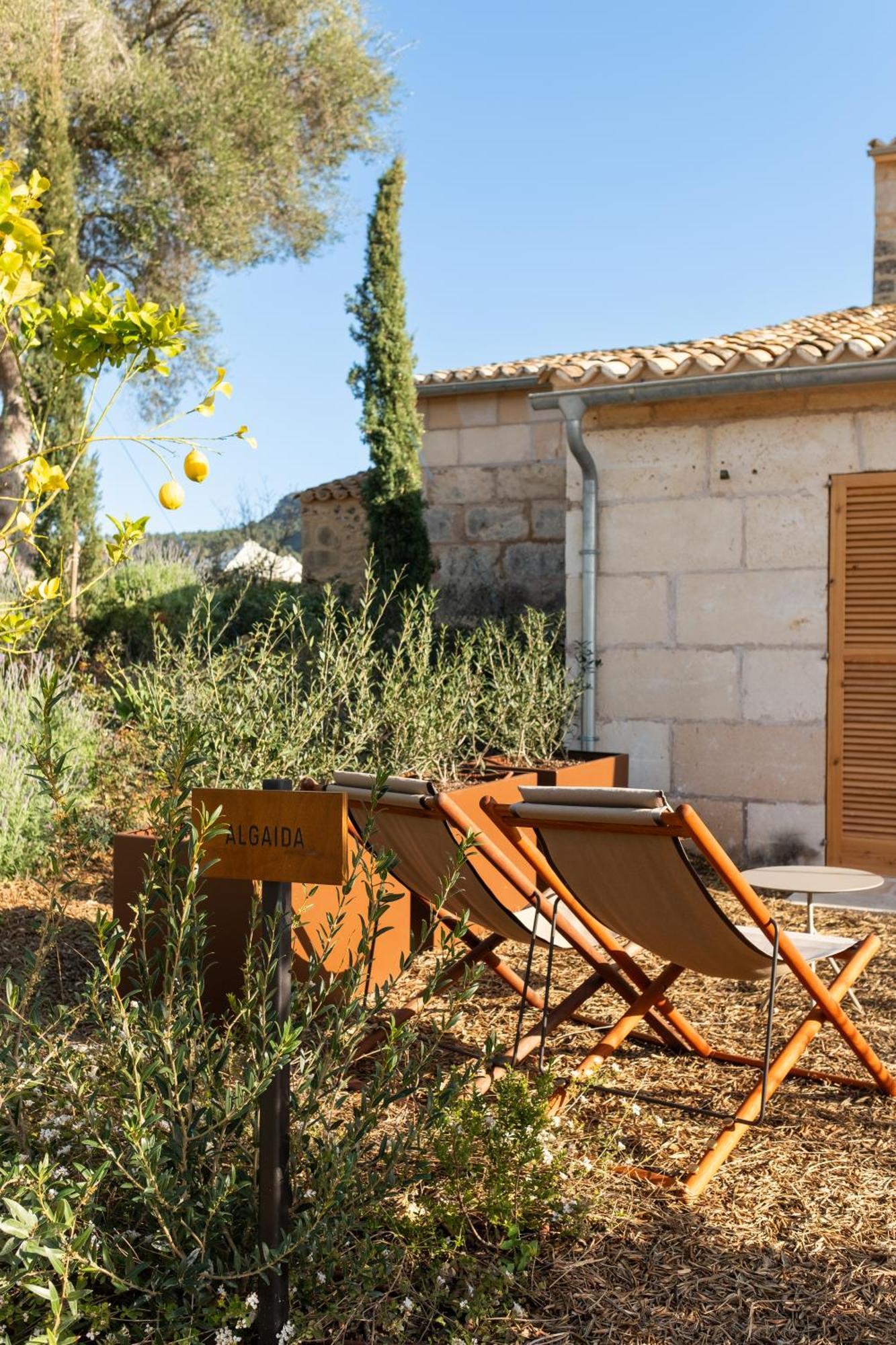Treurer - Olive Grove & Grand House - Adults Only Hotel 5*